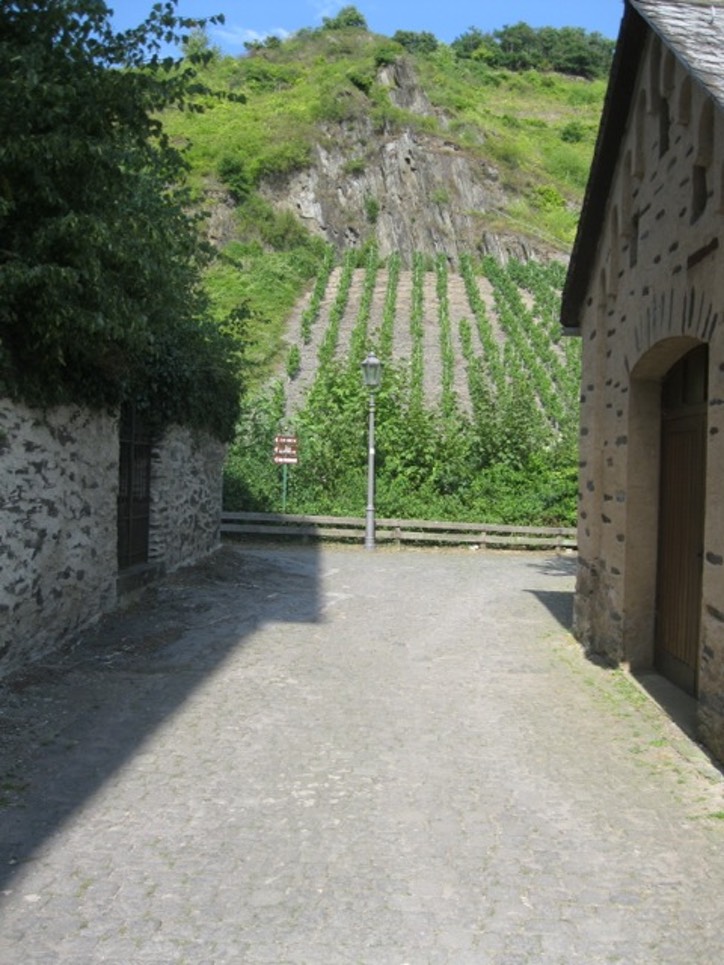 IMG 1349