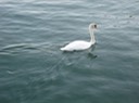 IMG_2681