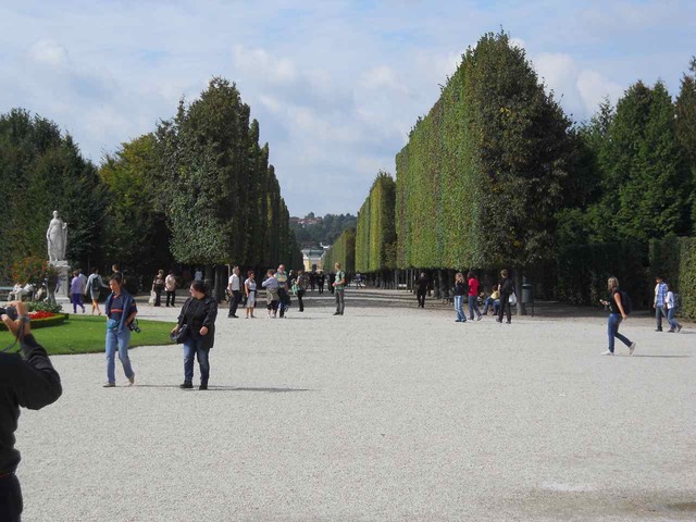 DSCN0049