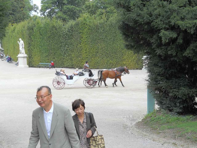 DSCN0066