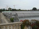 DSCN0067