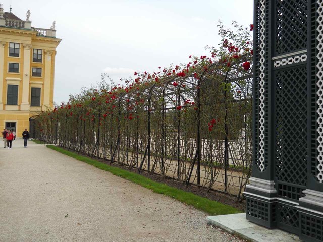 DSCN0092