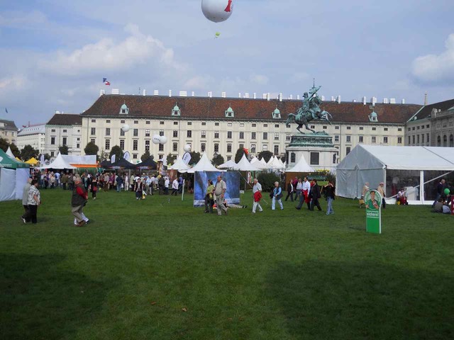 DSCN0133