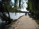 IMG_0079