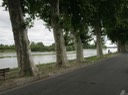 IMG_0188.jpg