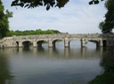 IMG_0222