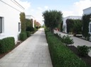 IMG_0518