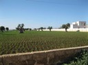 IMG_0551
