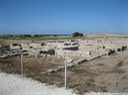 IMG_0552