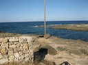 IMG_0574