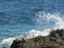 IMG_0577