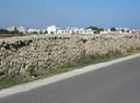 IMG_0578