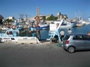 IMG_0593