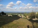 IMG_0629