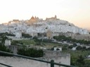IMG_0631