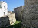IMG_0652