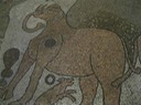 IMG_0659