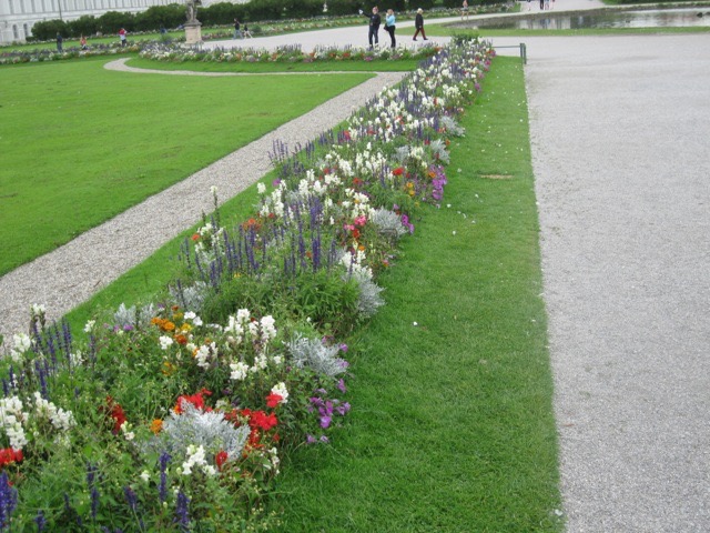 IMG 0933