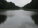 IMG 0968