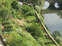 IMG 1117