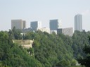 IMG 1119