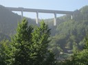 IMG 1297