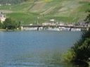 IMG 1304