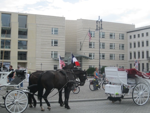 IMG 1424