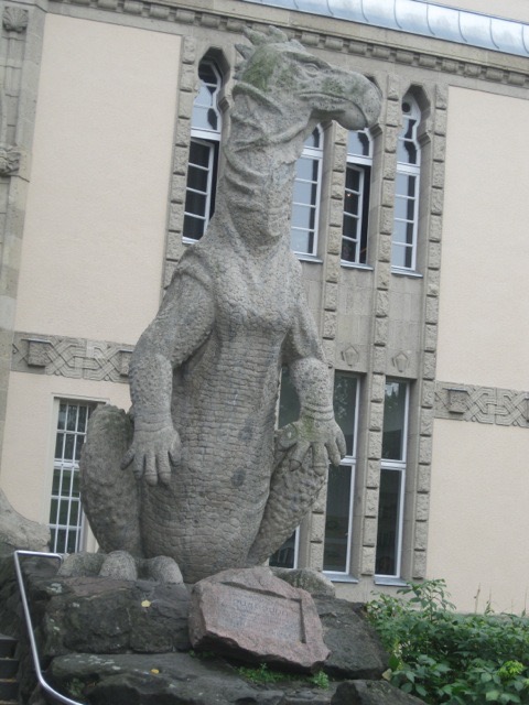 IMG 1465