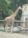 IMG 1470