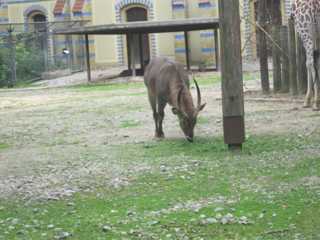 IMG 1473