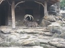 IMG 1474