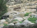 IMG 1478