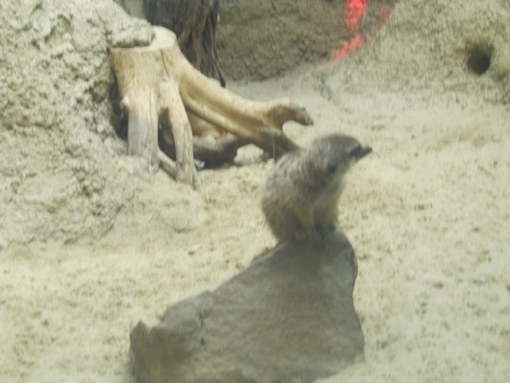 IMG 1503