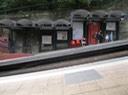 IMG 1517