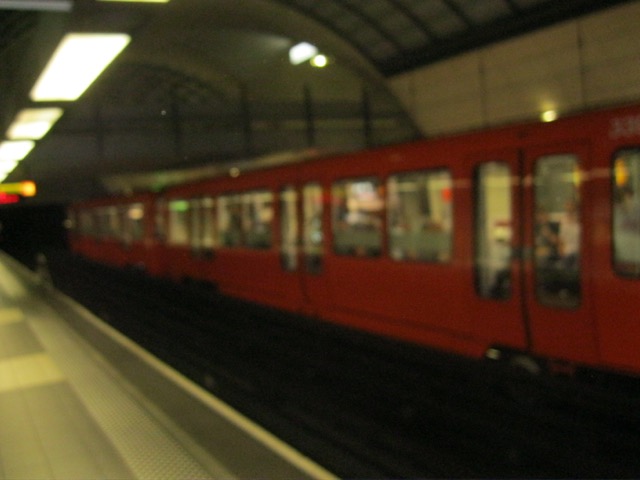 IMG 1533