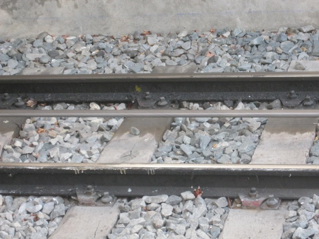 IMG 1535