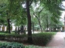 IMG 1657