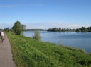 IMG 1719