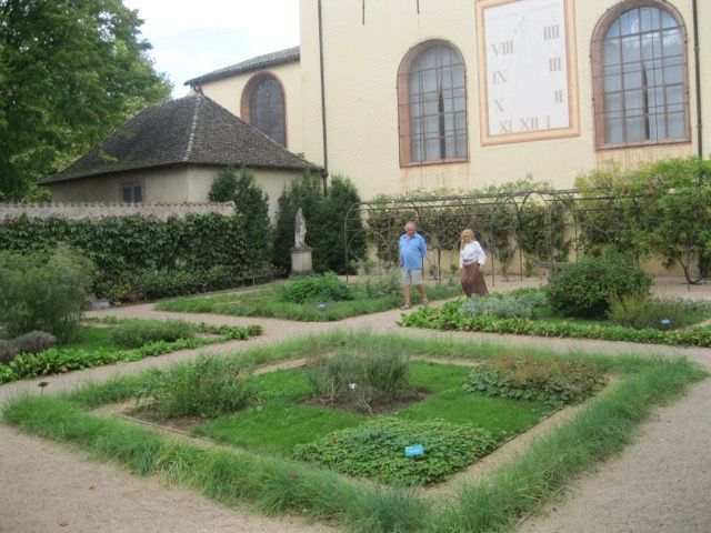 IMG 1755