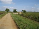 IMG 1772