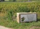 IMG 1773