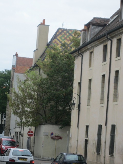 IMG 1874