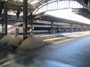 IMG 1910