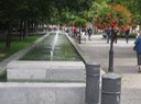 IMG_1975
