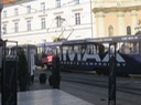 IMG_2013