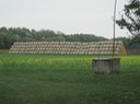 IMG_2081
