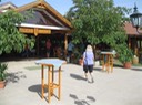 IMG_2229