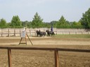 IMG_2258