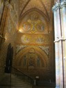 IMG_2451